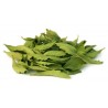 Feuilles entières de Stevia Séchées, 20g - Bio Gatrana