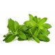 Feuilles entières de Stevia Séchées, 20g - Bio Gatrana