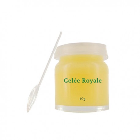 Gelée royale pure Vivez Nature - Acheter en ligne pot de 10g pas cher