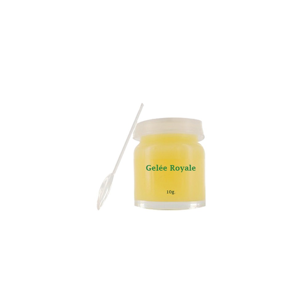 Gelée royale pure Vivez Nature - Acheter en ligne pot de 10g pas cher