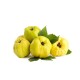 Coings de Djebba
