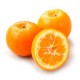 Fruit Oranges Amères, Délices de Djebba