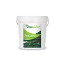 Spiruline de Tunisie en Vrac, Paillettes 500g - VivezNature