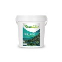 Spiruline de Tunisie en Paillettes, Palliette 500g - VivezNature