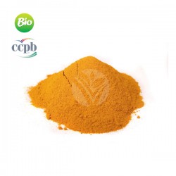 Curcuma BIO, 100g - Elixir Bio