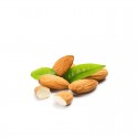 Amandes Douces Décortiquées Non Grillées – VivezNature