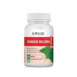 Ginkgo Biloba (Extrait), Boite de 60 gélules - Bioherbs
