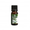 Huile Essentielle Romarin à Cinéole, 10ml - Aroma Végétal