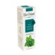 Huile Essentielle de Menthe Pouliot, 10ml - Bio Orient