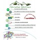 Spiruline Biologique Bio Gatrana, qualité et bienfaits
