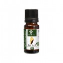 Huile Essentielle de Bois de Hô, 10ML - Aroma Végétal