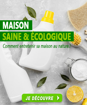 Entretien maison écologique