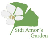 Logo Sidi Amor's Garden