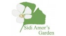 Sidi Amor's Garden